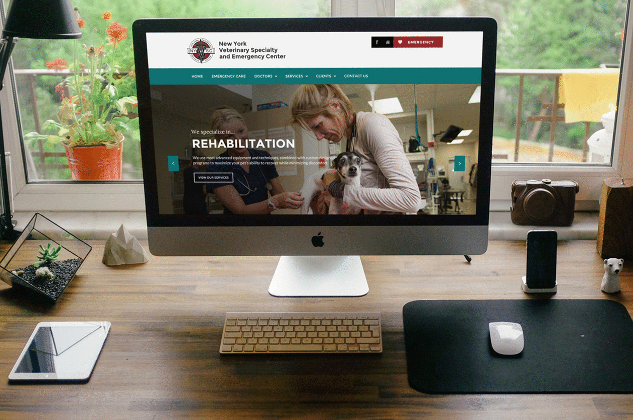 Image of NYVSC Website